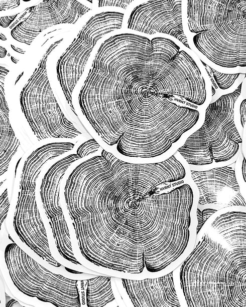 “Cedar” Sticker
